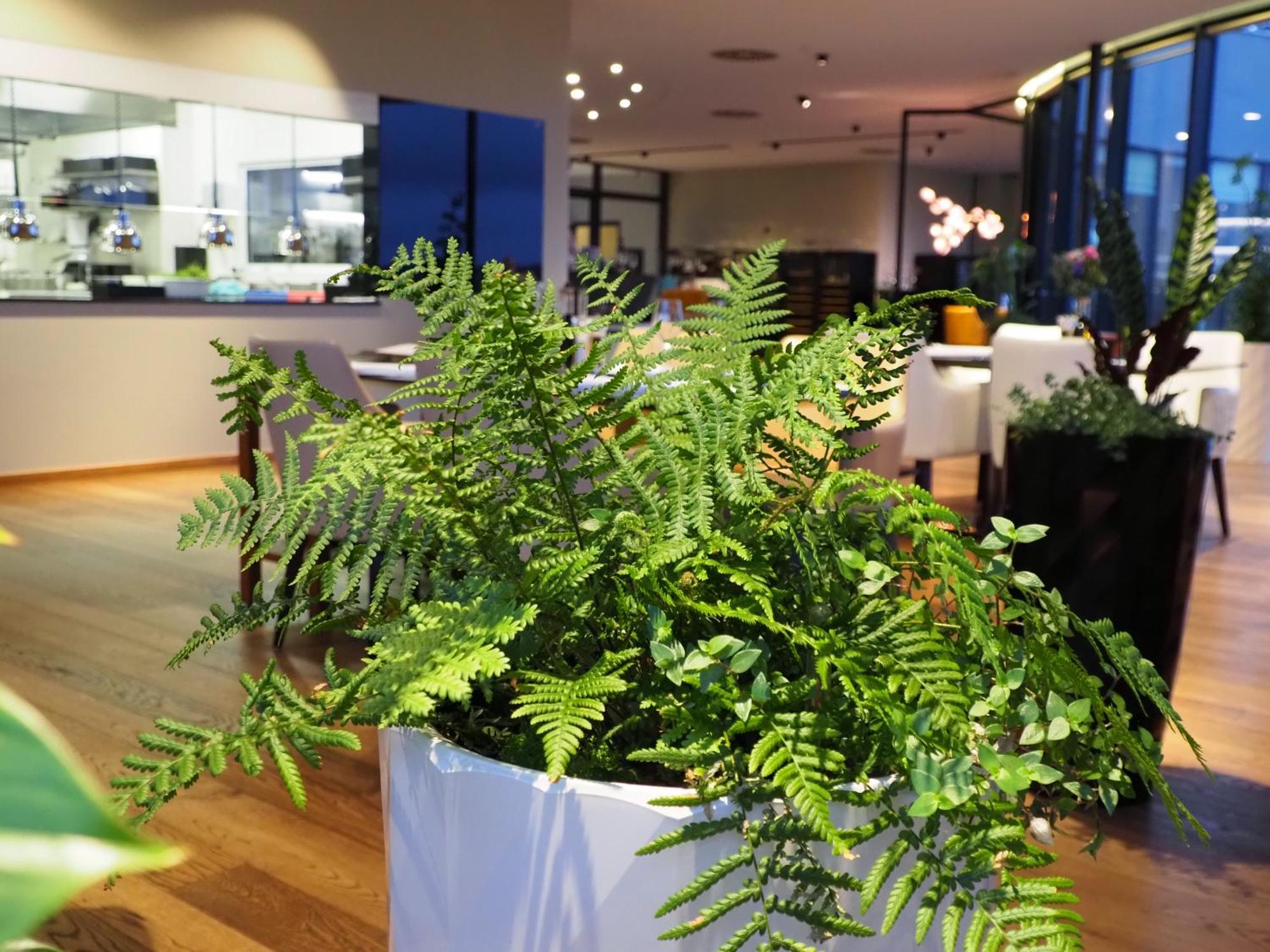 Mg Restaurace/Luxury Apartments Mladá Boleslav Εξωτερικό φωτογραφία