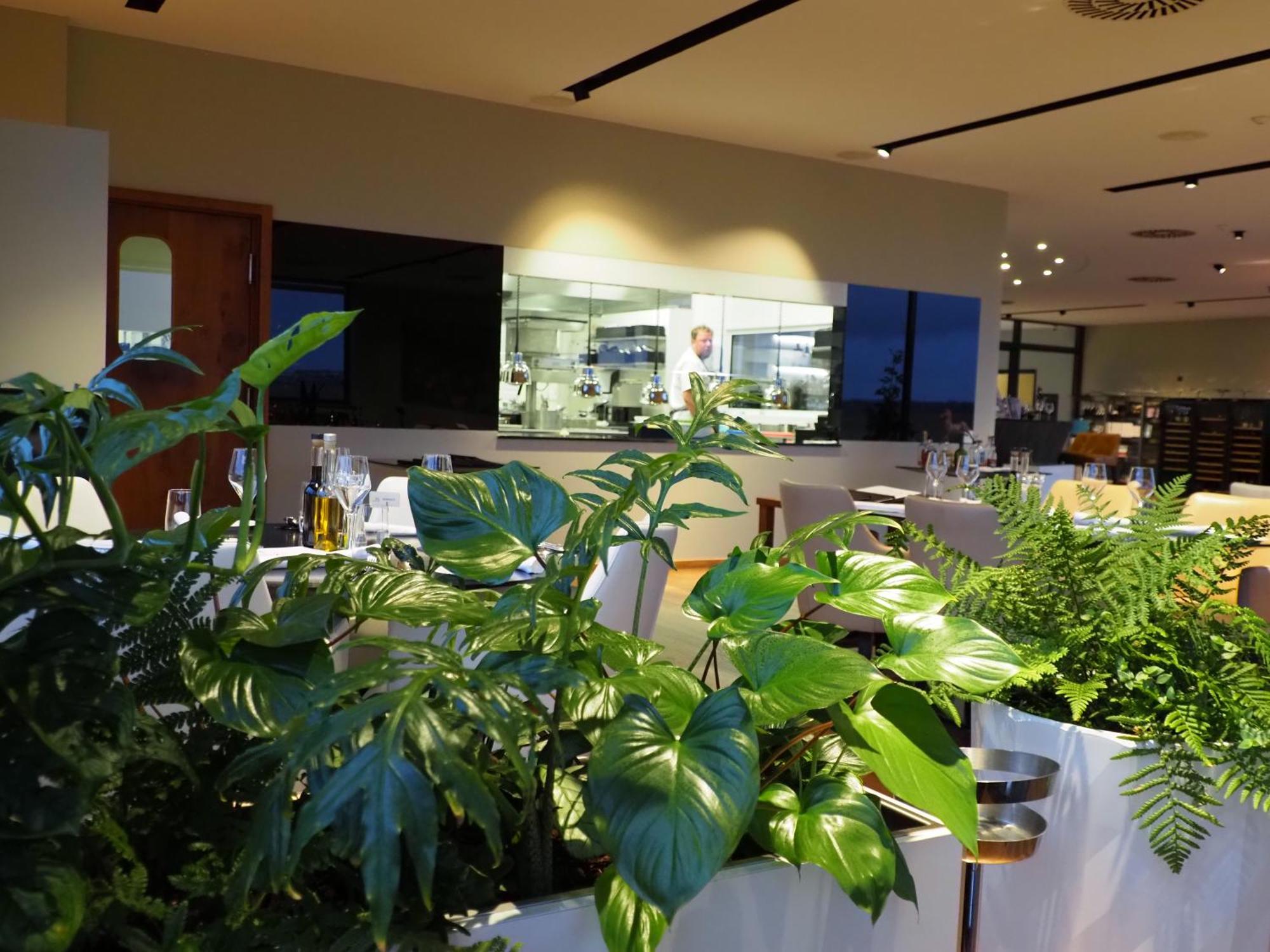 Mg Restaurace/Luxury Apartments Mladá Boleslav Εξωτερικό φωτογραφία